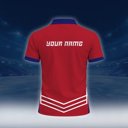 LIMITED EDITION - NEW CUSTOMIZED NHL11 MCD MONTREAL CANADIENS UNISEX T-SHIRT, POLO, HOODIE & SWEASHIRTS