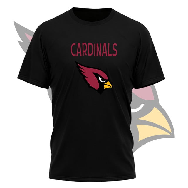 LIMITED EDITION - NEW CUSTOMIZED NFL20 AR CARDINALS UNISEX T-SHIRT, SWEATSHIRT, HOODIE & ZIP HOODIE