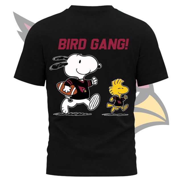 LIMITED EDITION - NEW CUSTOMIZED NFL20 AR CARDINALS UNISEX T-SHIRT, SWEATSHIRT, HOODIE & ZIP HOODIE