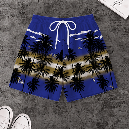 LIMITED EDITION - NEW CUSTOMIZED NFL28 BTR BALTIMORE RAVENS SHORT PANTS