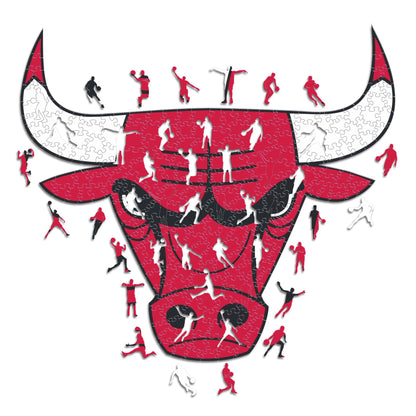 NBA Wooden Puzzle
