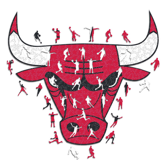NBA Wooden Puzzle